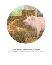 Load image into Gallery viewer, No Time to Play!                                                       Free postage for UK only