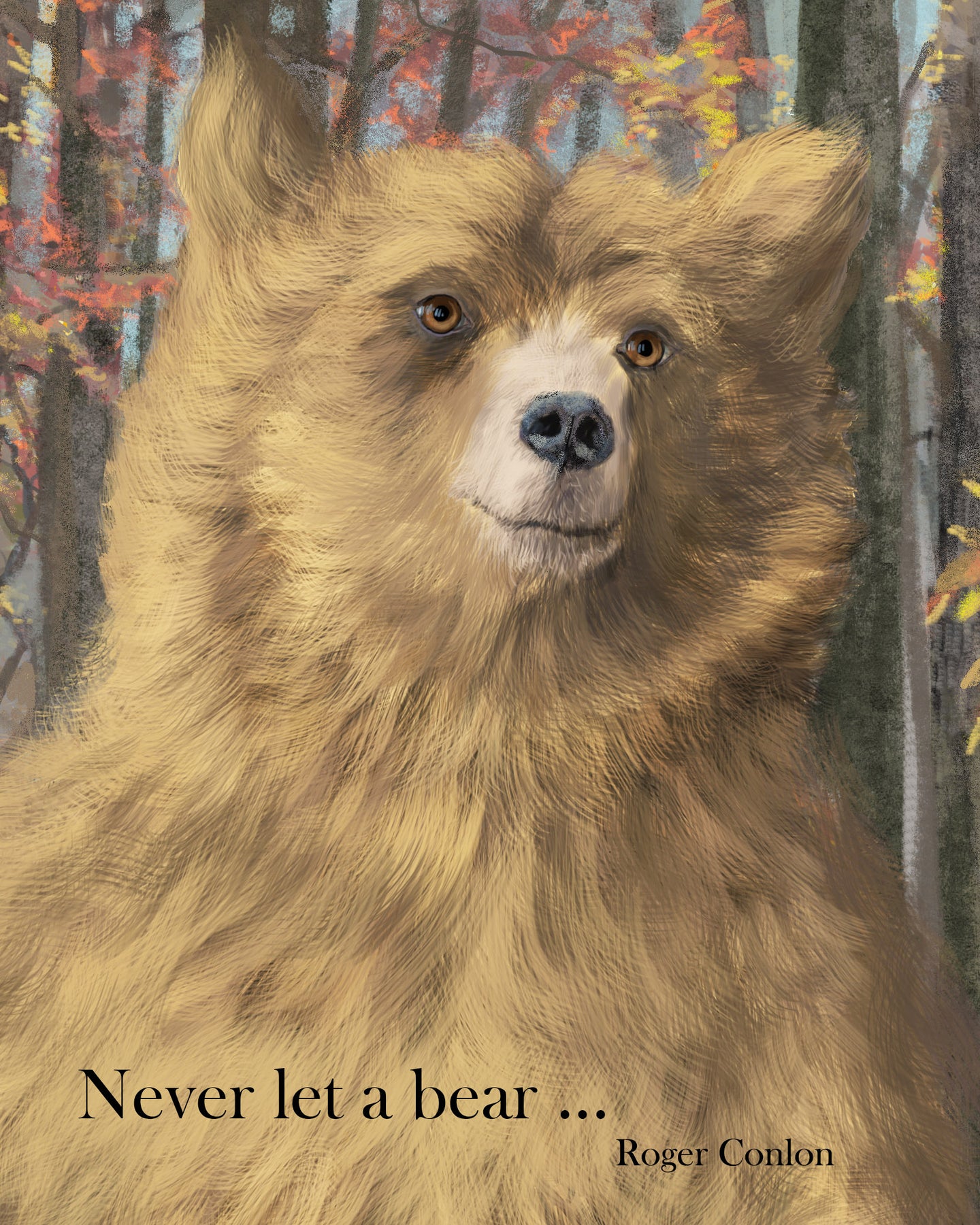 Never let a bear... (free postage for UK sales only)
