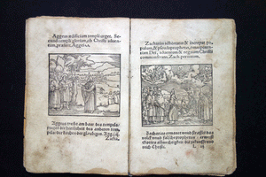 Old Testament Woodcuts (40 prints )  Hans Sebald Beham ( 1500 – 1550) artist book