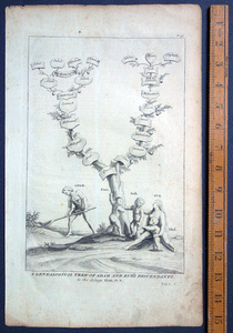 Genealogical Tree of Eve’s Descendants Bleyswyck 1725