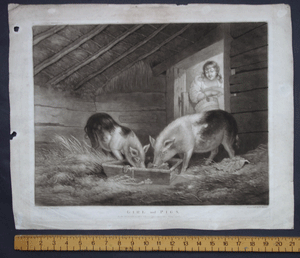 Girl and Pigs mezzotint after Morland by William Ward