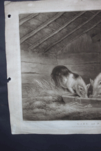 Load image into Gallery viewer, Girl and Pigs mezzotint after Morland by William Ward