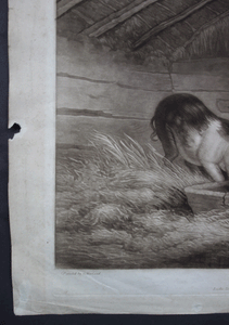 Girl and Pigs mezzotint after Morland by William Ward