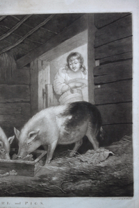 Girl and Pigs mezzotint after Morland by William Ward