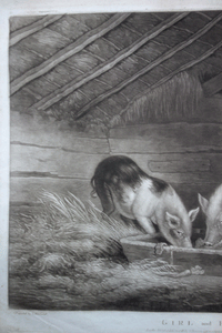 Girl and Pigs mezzotint after Morland by William Ward