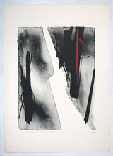 Load image into Gallery viewer, Toko Shinoda &#39; Distance&#39; lithograph 20C