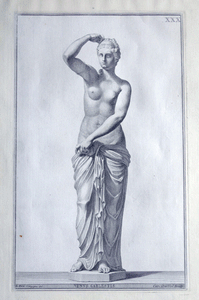 Venus Celestis 18c engraving Campiglia eng. by  Orsolini
