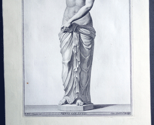 Venus Celestis 18c engraving Campiglia eng. by  Orsolini