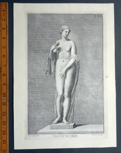 Venus Victrix 18c engraving Campiglia  eng. by Corfi