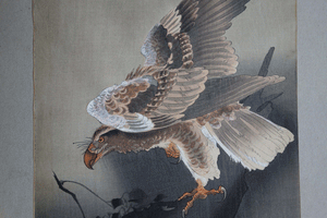 Eagle with outspread wings Japanese woodblock print Ohara Koson