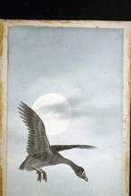 Load image into Gallery viewer, Japanese 19c watercolour Goose