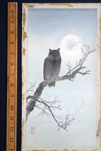 Japanese 19c watercolour of Owl