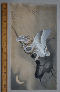 Owl and Crescent Moon Japanese woodblock print by Ohara Koson